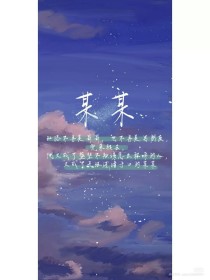 高义白洁小说